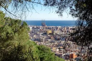 a view of a city from a hill