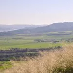 Green fields and distant mountains under a clear sky