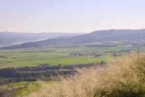 Green fields and distant mountains under a clear sky