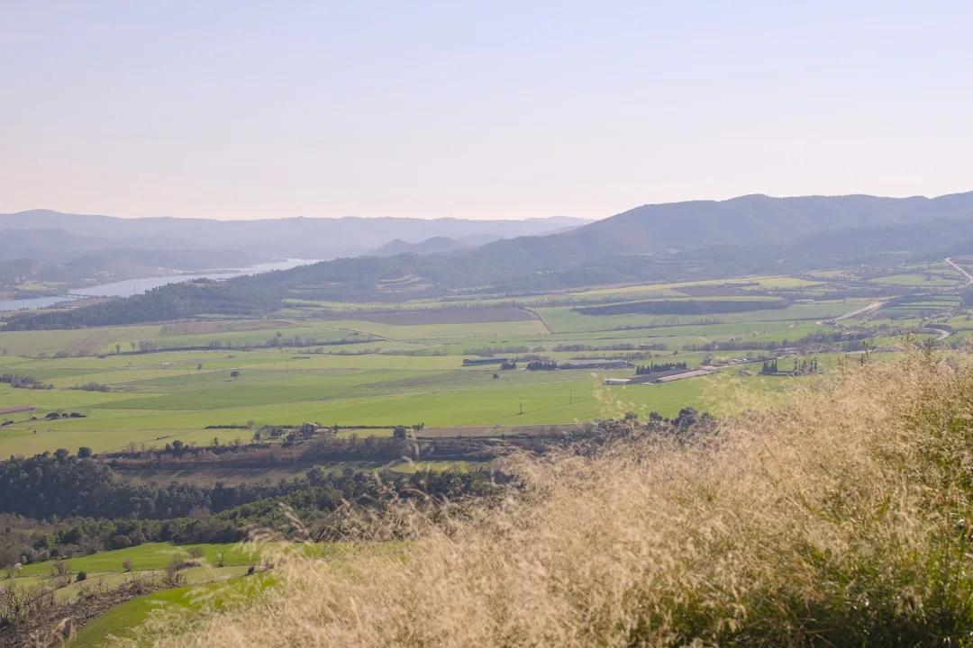 Green fields and distant mountains under a clear sky