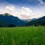 grass field and mountain ranges