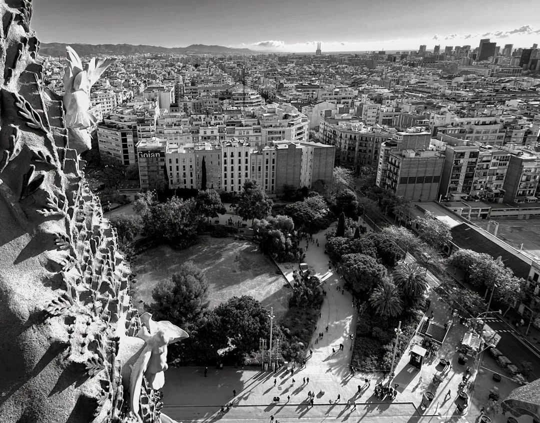 Panoramic view of a sprawling city with a park
