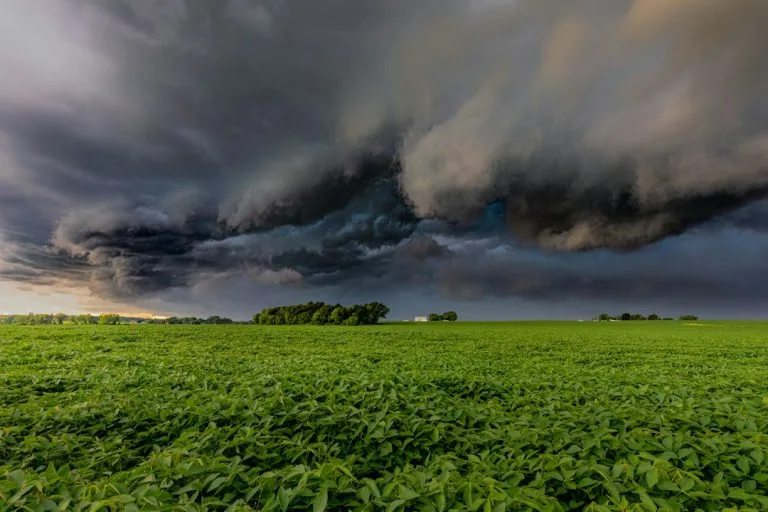 A dark storm cloud looming over a vast green field of crops