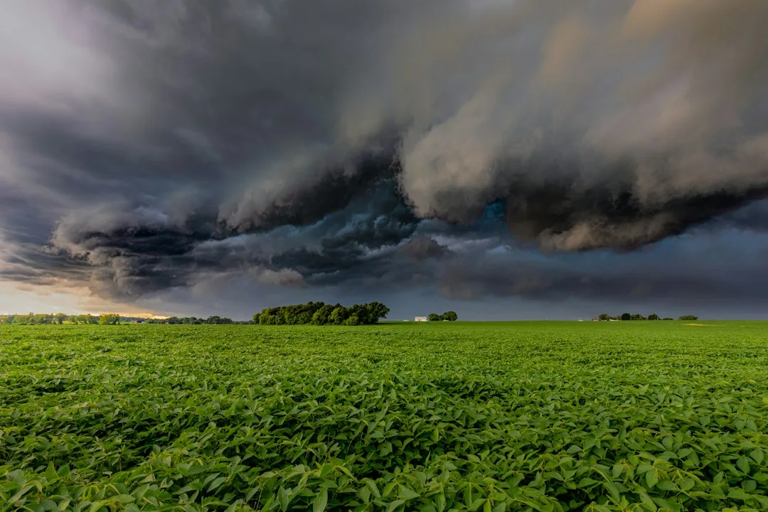 A dark storm cloud looming over a vast green field of crops